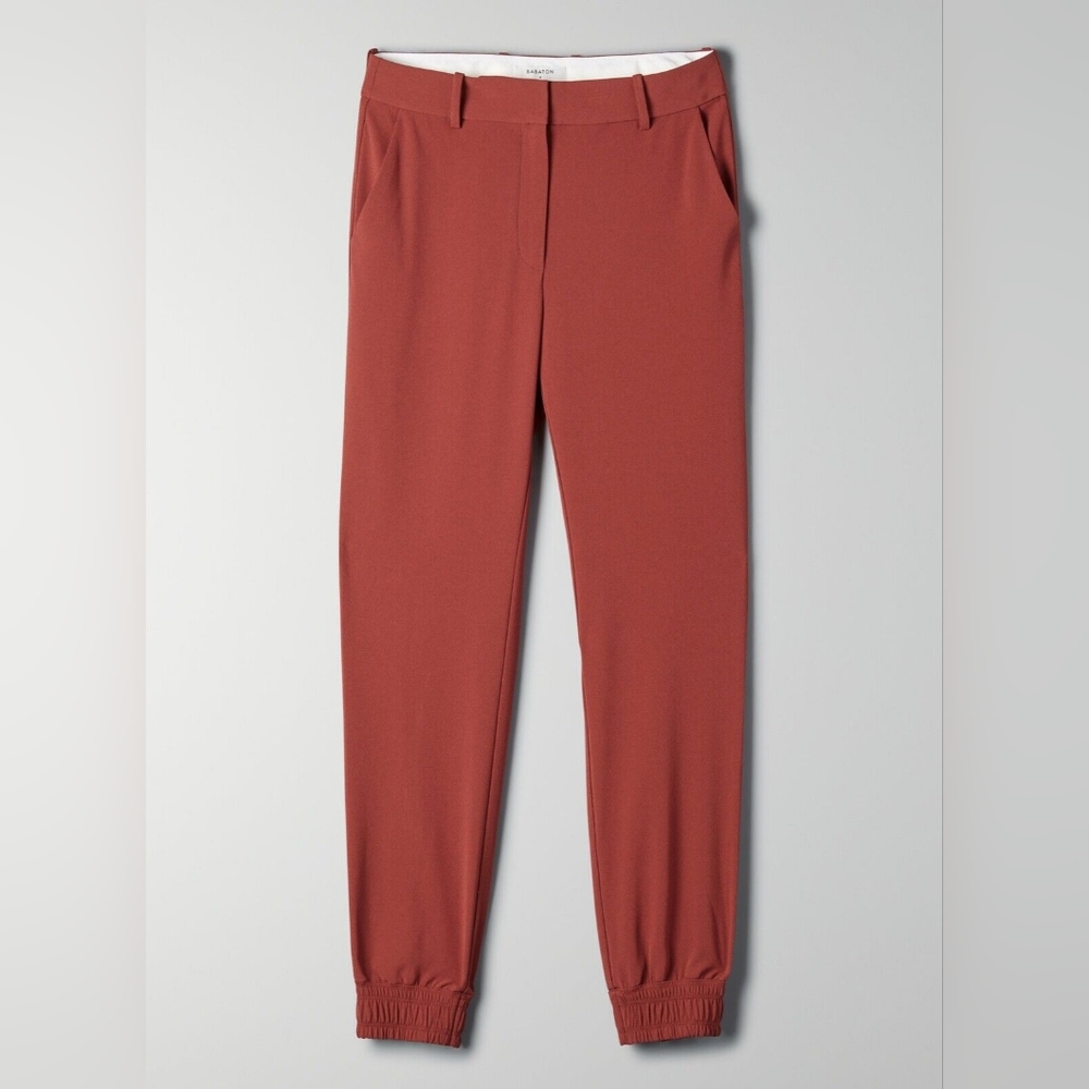 *SOLD* BABATON | Aritzia Wade Pant | 4